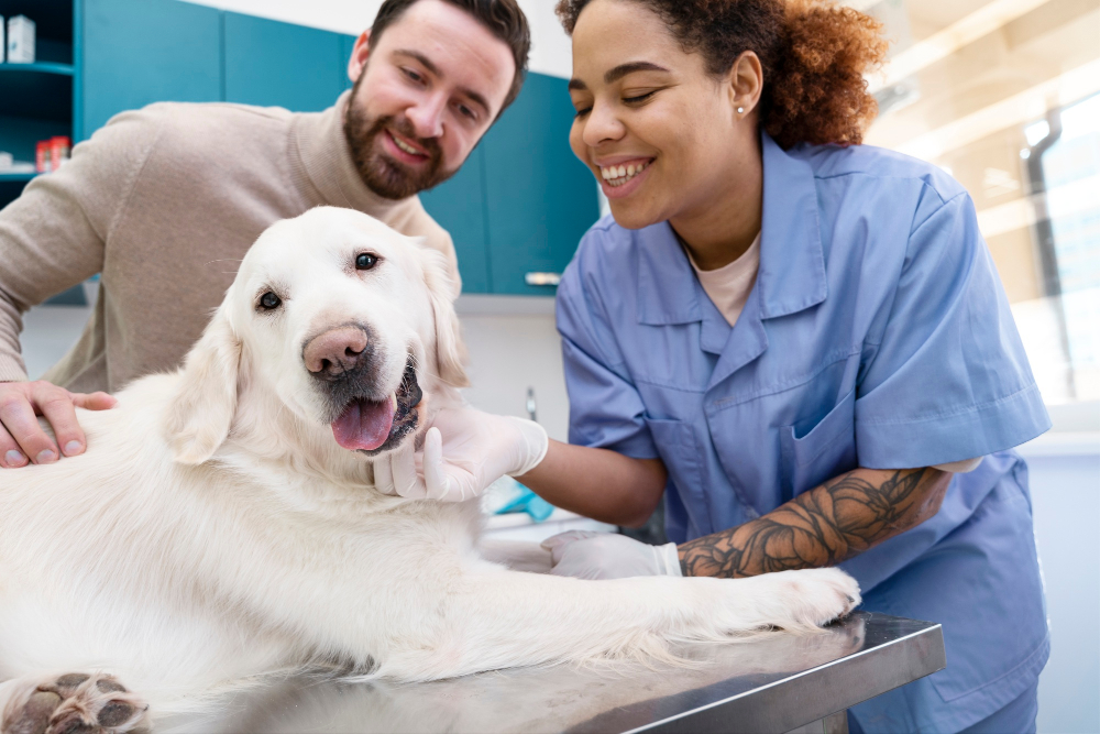 🐾 Veterinarias